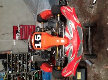 Rotax Junior max for sale